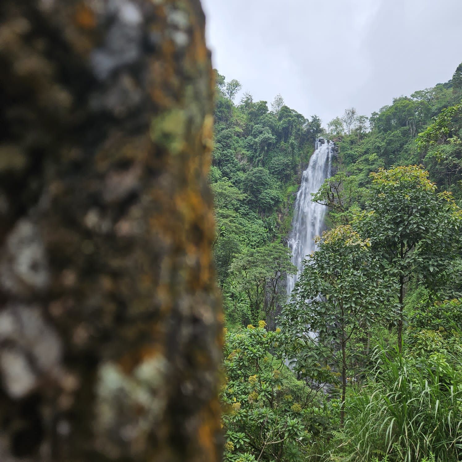 The Materuni waterfalls, which cascade more than 80m down from Mount Kilimanjaro. 