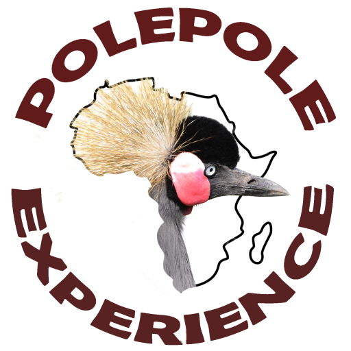 Polepole African Experience