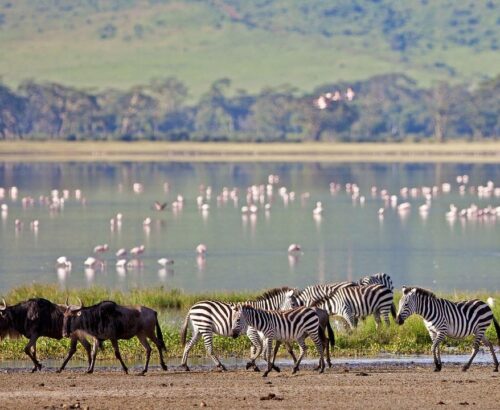 Lake Natron